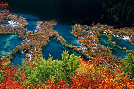 九寨溝十、十一月旅游-九寨溝浪漫彩林游